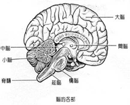 如何诊断原发性CNS淋巴瘤