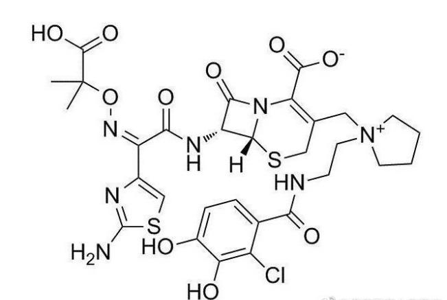 新型抗菌药Fetroja（cefiderocol，头孢地尔）说明书-价格-功效与作用-副作用_香港济民药业