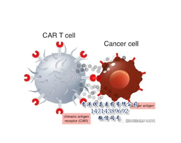 CAR-T细胞免疫疗法_香港祺昌医药有限公司