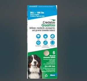 Credelio Quattro