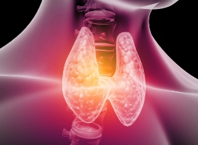 Eneboparatide