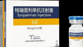 特瑞普利单抗